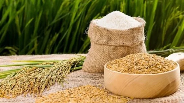 Giá lúa gạo hôm nay 12/11: Giá neo cao, thị trường giao dịch sôi động