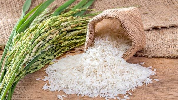 Giá gạo Việt Nam xuất khẩu cao nhất thế giới