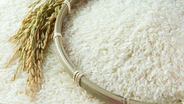 Giá lúa gạo hôm nay 15/11: Nhu cầu tăng đẩy giá lúa gạo ở mức cao