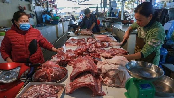 Giá heo hơi giảm sâu, sao giá heo móc hàm vẫn ở mức rất cao?