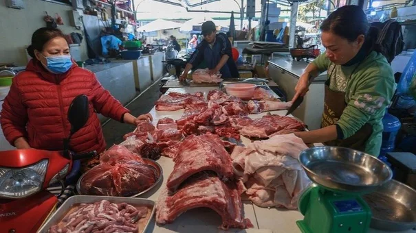 Giá heo hơi giảm sâu, sao giá heo móc hàm vẫn ở mức rất cao?