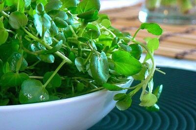 Loại rau phổ biến ở Việt Nam giá rất rẻ có thể làm giảm nguy cơ mắc nhiều loại ung thư