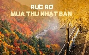 Vẻ đẹp mộng mơ của mùa thu Nhật Bản, xem xong chỉ muốn xách vali lên đường