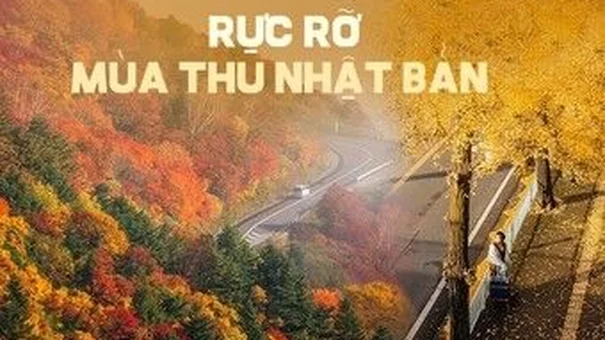 Vẻ đẹp mộng mơ của mùa thu Nhật Bản, xem xong chỉ muốn xách vali lên đường