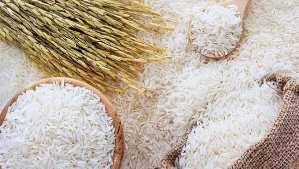 Giá lúa gạo hôm nay 22/11: Giá gạo nguyên liệu tăng trở lại