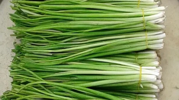 LOẠI RAU KHÔNG TRỒNG CŨNG MỌC SUM SUÊ, DÂN NHỔ BÁN KIẾM 600.000 ĐỒNG/NGÀY
