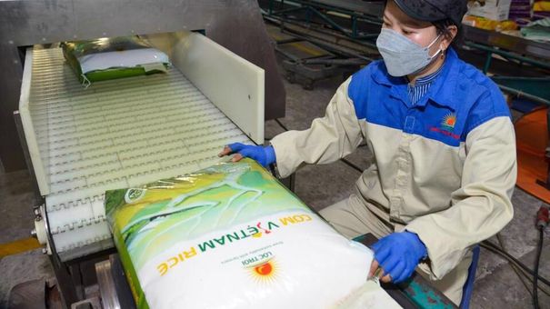 Xuất khẩu gạo tăng cao kỷ lục cả về sản lượng và giá