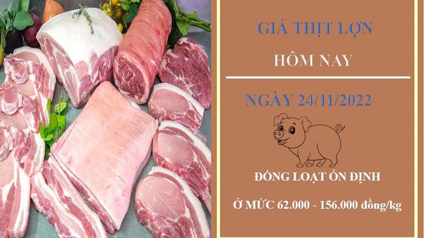 Giá thịt heo hôm nay 24/11/2022: Giữ mức ổn định
