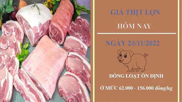 Giá thịt heo hôm nay 24/11/2022: Giữ mức ổn định