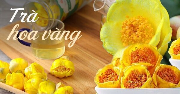 Vùng núi phía Bắc có loại trà sấy khô bán với giá 20 triệu/kg