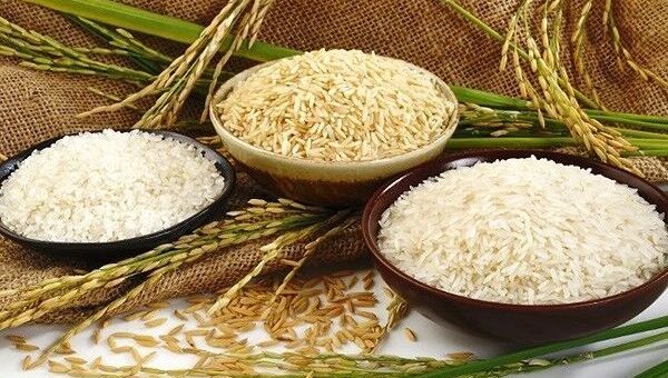 Giá lúa gạo hôm nay 29/11: Tăng nhẹ do nhu cầu cao từ thị trường Trung Quốc và EU