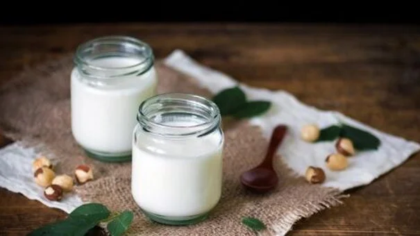 Sữa chua có thể ngăn ngừa sự phát triển tiền ung thư đại tràng