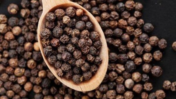 Giá tiêu hôm nay 5/11: Giá tiêu có thể tiến về gần mức 50.000 đồng/kg