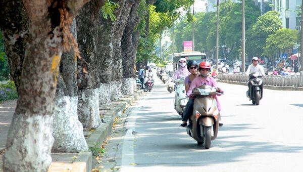 Dự báo thời tiết 7/11: Miền Bắc hanh khô, Trung Bộ có mưa vài nơi