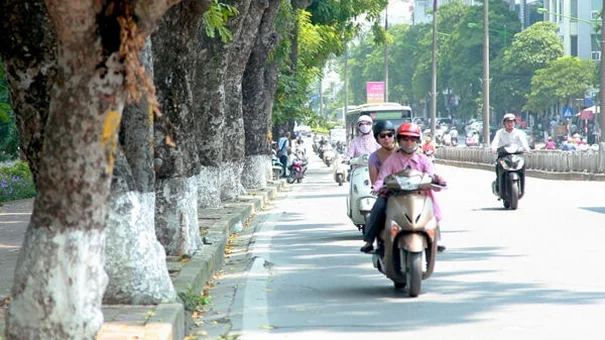 Dự báo thời tiết 7/11: Miền Bắc hanh khô, Trung Bộ có mưa vài nơi