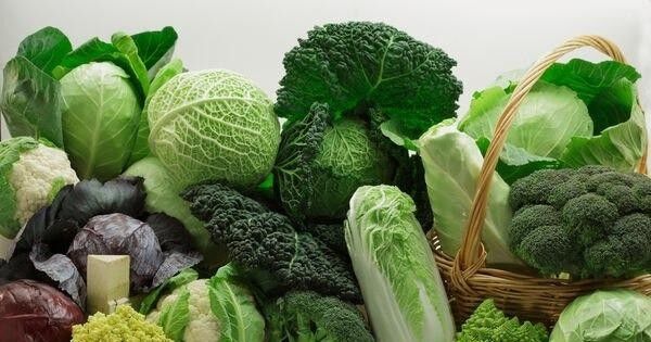 Những người nên tránh xa rau cải tuyệt đối kẻo 'rước thêm bệnh'