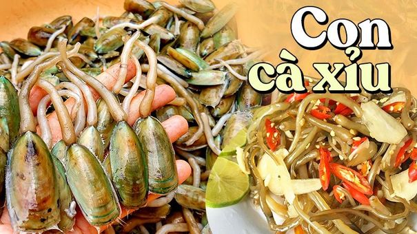 Cà xỉu: Đặc sản ở Kiên Giang, được ví như thuốc bổ nên giá 250 nghìn/kg vẫn rất hút khách