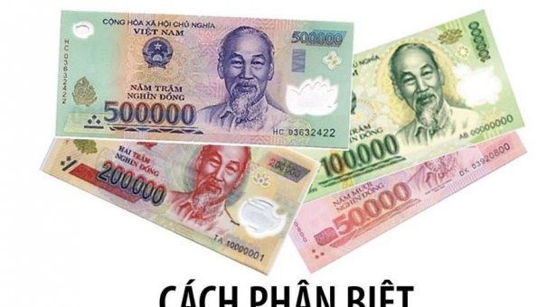 Ngân hàng Nhà nước chỉ cách phân biệt tiền thật với tiền giả