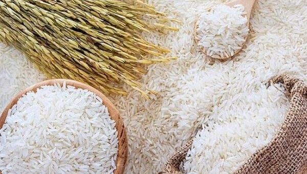 Giá lúa gạo hôm nay 2/12: Nếp Long An tăng 100 đồng/kg