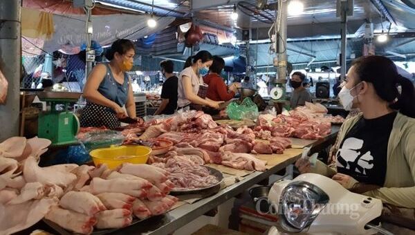 Giá thịt heo cuối năm giảm từ chuồng đến chợ và nỗi buồn người chăn nuôi