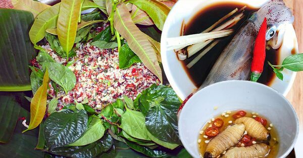 Những đặc sản ăn sống nổi tiếng khắp Việt Nam mà không phải ai cũng can đảm thử