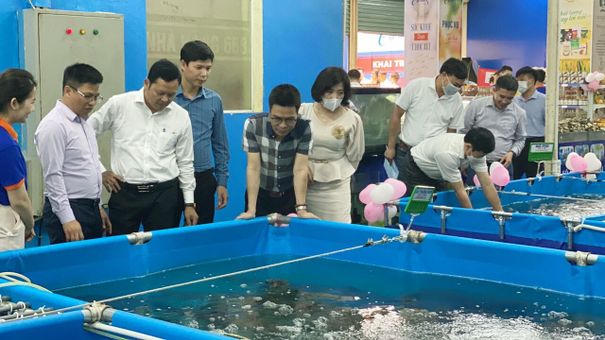 Hà Nội: Khai trương chuỗi thủy hải sản an toàn Chocavi