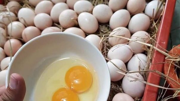Giá trứng gia cầm tăng 2.000 - 5.000 đồng/chục
