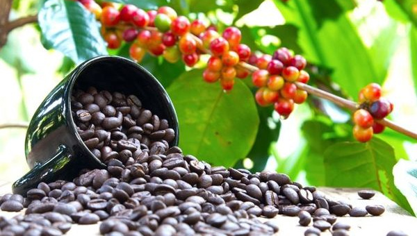 Thị trường hàng hoá ngày 19/5: Nhóm nguyên liệu công nghiệp giảm mạnh