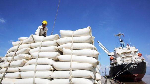 Giá lúa gạo hôm nay 28/5: Xuất khẩu gạo sẽ lạc quan hơn vào tháng 6