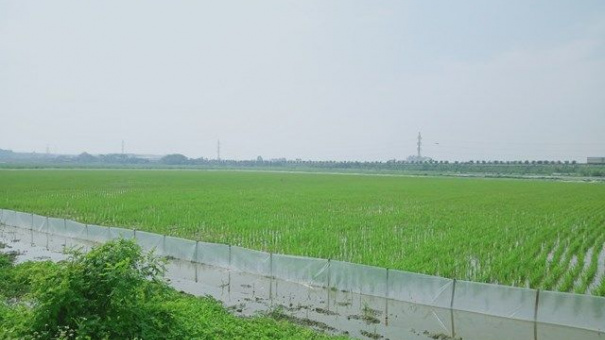 'Lùm xùm' xung quanh dự án khu nhà ở thôn Đông Yên: Huy động vốn trái phép?