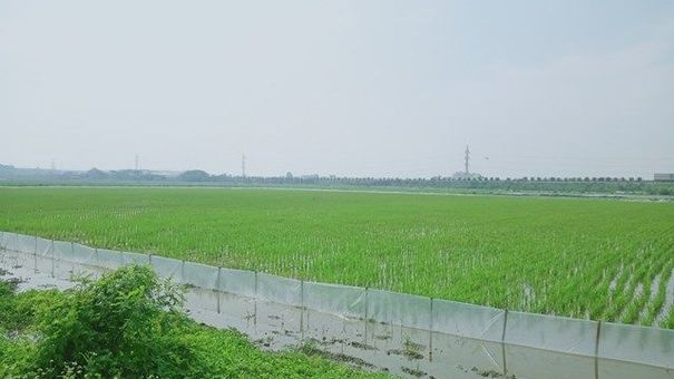 'Lùm xùm' xung quanh dự án khu nhà ở thôn Đông Yên: Huy động vốn trái phép?
