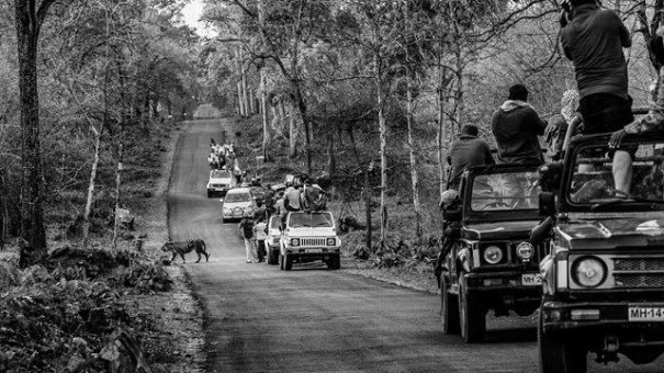 Ấn tượng ảnh báo chí thế giới 2022