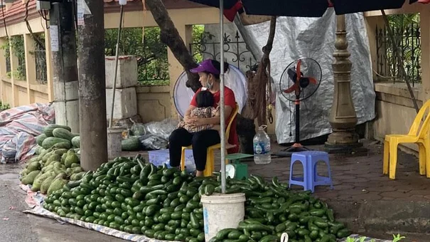 Loại quả siêu thực phẩm tràn chợ Hà Nội, giá siêu rẻ vẫn ế