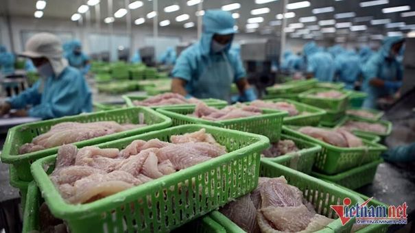 Giá lên đỉnh, thu tiền nhiều nhất lịch sử: Món hàng Việt gặp thời trên đất Mỹ