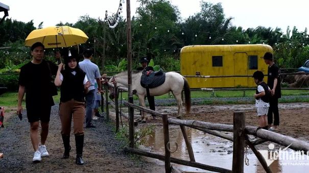 Tập làm “quý tộc”: Trăm triệu mua ngựa, tháng gần chục triệu nuôi, tập 1 buổi mất cả triệu