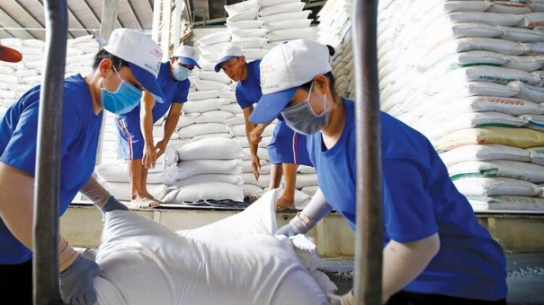 Xuất khẩu gạo sẽ tiếp tục giữ giá cao trong tháng