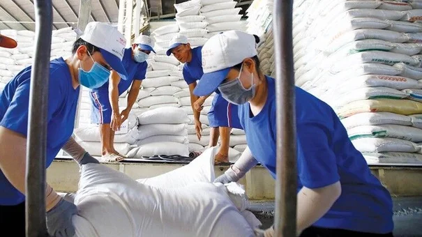 Xuất khẩu gạo sẽ tiếp tục giữ giá cao trong tháng