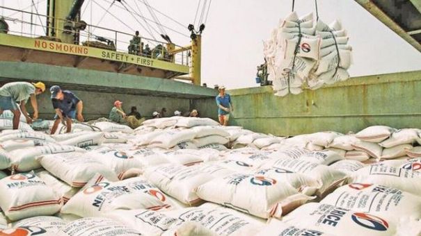 Giá lúa gạo hôm nay 8/6: Giá gạo xuất khẩu tiếp tục ở mức cao