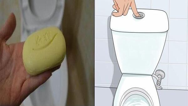 Công dụng bất ngờ của xà phòng bánh