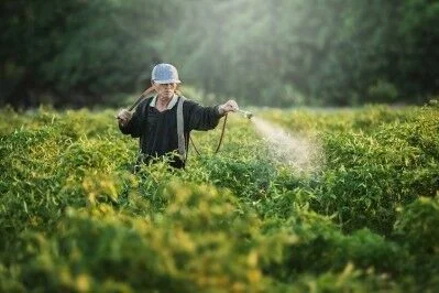 Nguy cơ ung thư do hoá chất có trong thuốc diệt cỏ