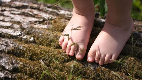 Cảnh báo: Nhiều chất độc trong đất có thể gây hại cho tim, ung thư