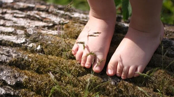 Cảnh báo: Nhiều chất độc trong đất có thể gây hại cho tim, ung thư