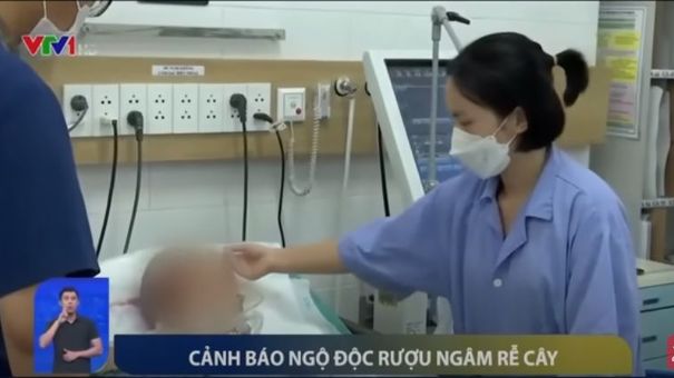 Cảnh báo: Ngộ độc rượu ngâm rễ cây