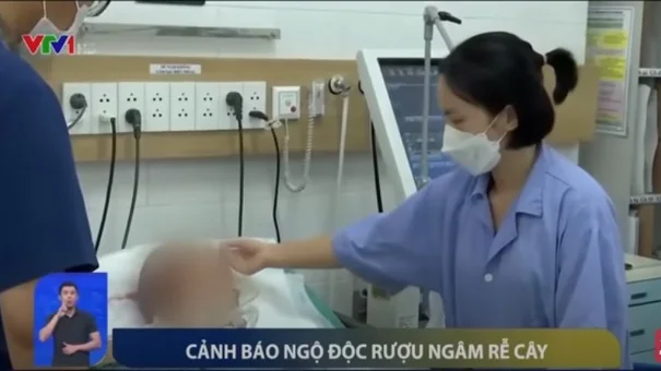 Cảnh báo: Ngộ độc rượu ngâm rễ cây