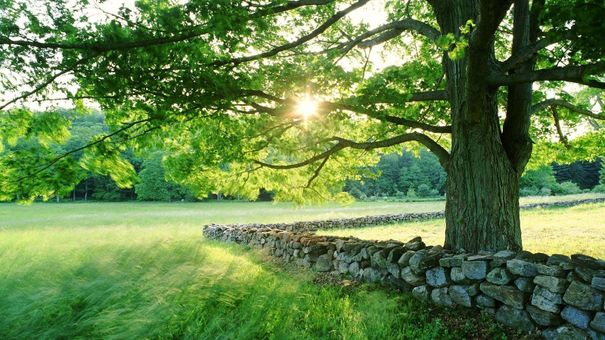 Dự báo xu thế thời tiết trên đất liền thời hạn đến 10 ngày