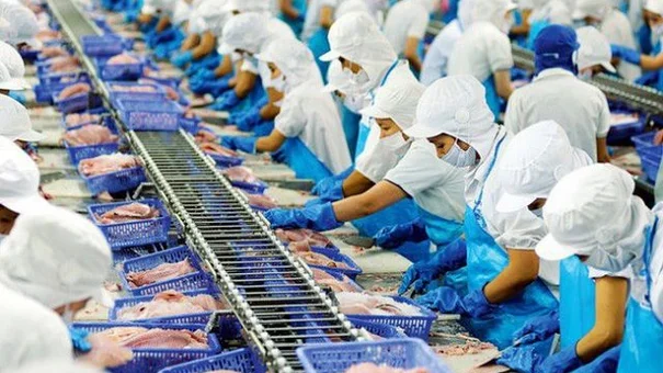 Công ty cá tra lỗ hàng chục tỷ vì mua cổ phiếu bất động sản