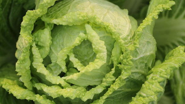 Những loại thực phẩm tốt nhất dành cho người loãng xương