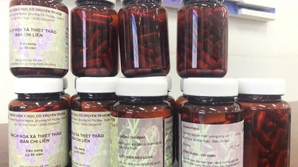 Hiện đại hóa bài thuốc dân gian bảo vệ gan