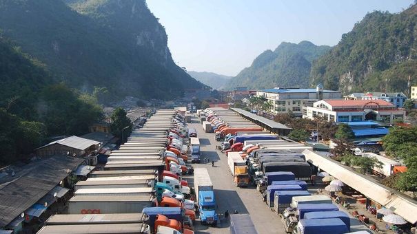 Xuất khẩu chính ngạch: 'Thuốc đặc trị' ùn ứ nông sản