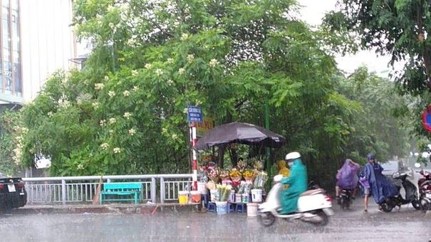 DỰ BÁO THỜI TIẾT - NGÀY VÀ ĐÊM 12/08/2022